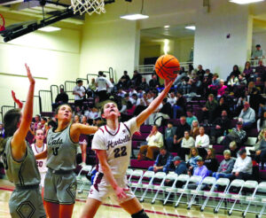 Lady Tigers shake off slow start to defeat Cullman