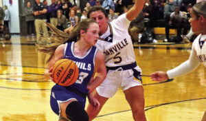 Danville, Falkville seasons end in subregionals